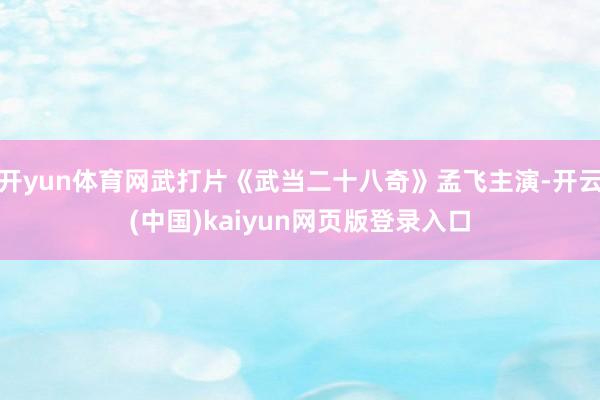 开yun体育网武打片《武当二十八奇》孟飞主演-开云(中国)kaiyun网页版登录入口